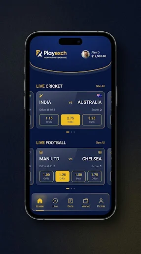 Playexch support and mobile access illustration